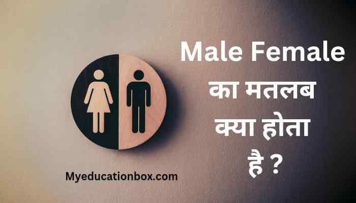 Male Female Ka Matlab Kya Hota Hai (मेल फीमेल का मतलब क्या होता है?) 