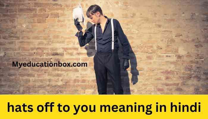 hats off to you meaning in hindi | hats off to you sir meaning in hindi