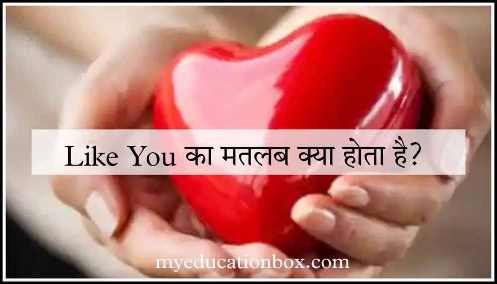 i like you meaning in hindi
